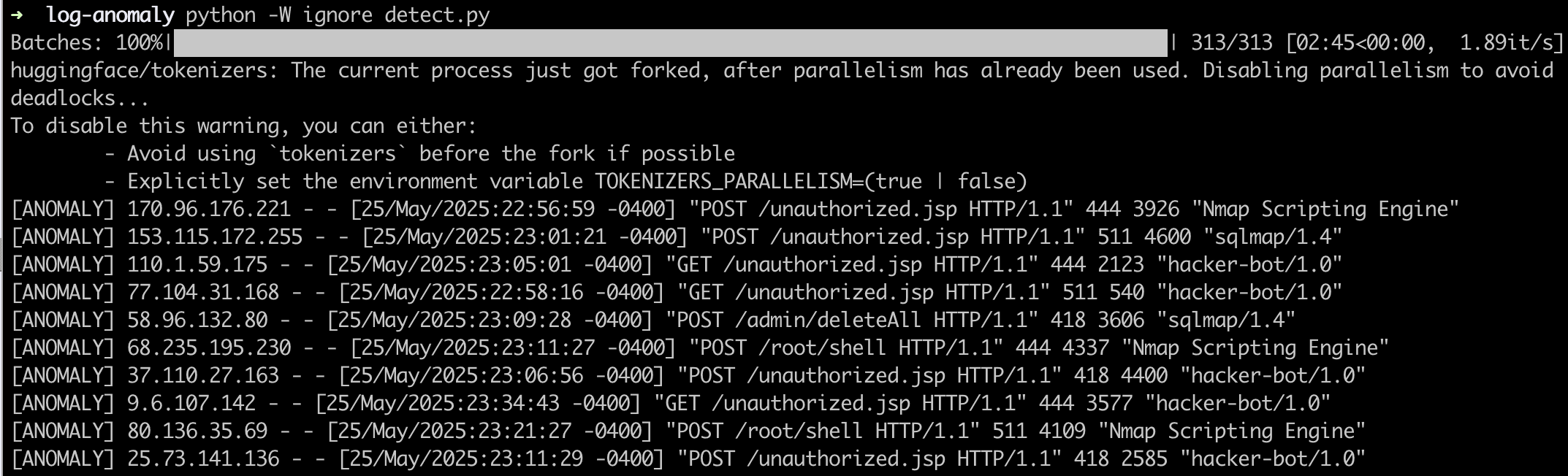 Anomaly Detection Output